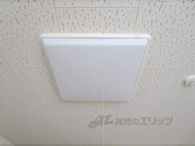照明