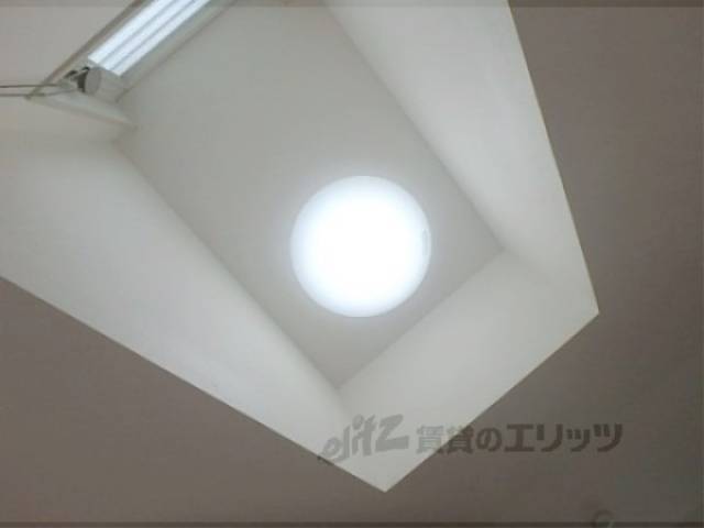 照明