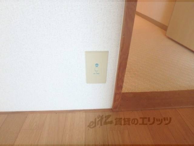 ネット線