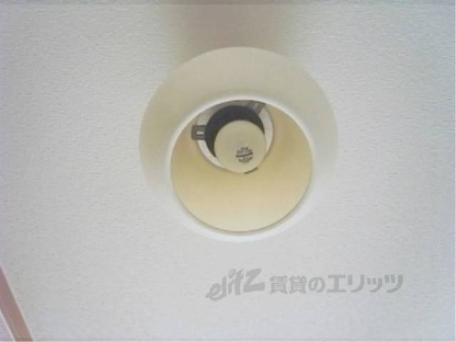 照明