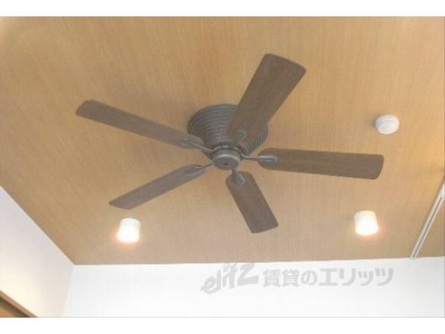 ファン