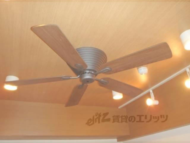 ファンがついてます。