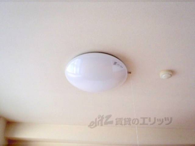 照明