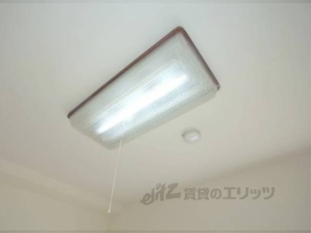 照明