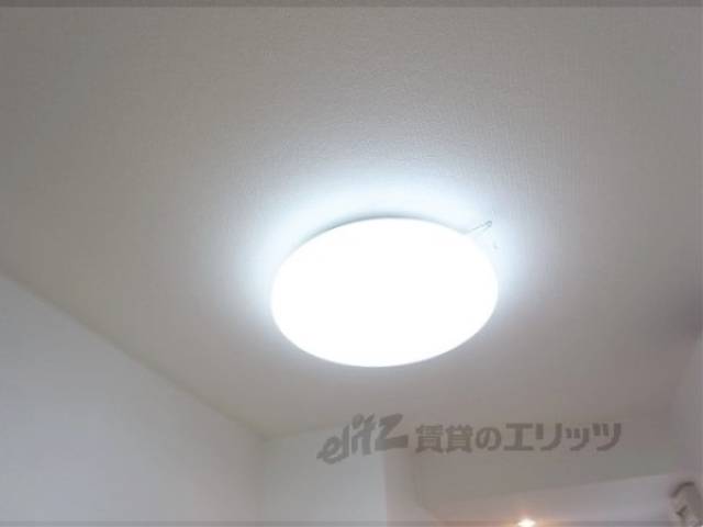 照明