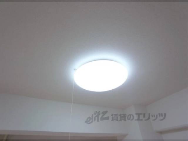 照明