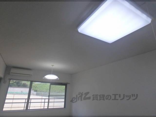 照明