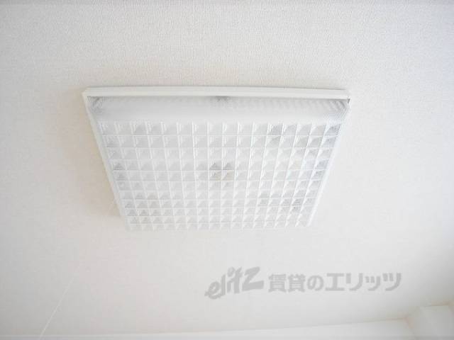 照明
