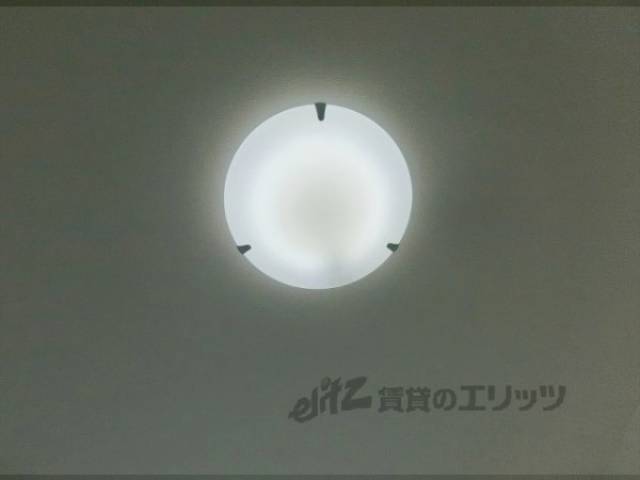 照明