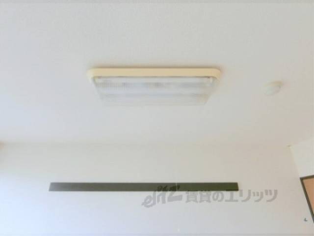 照明