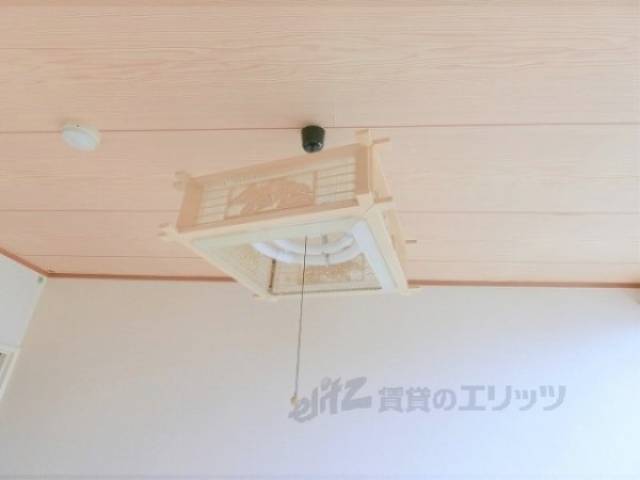 照明