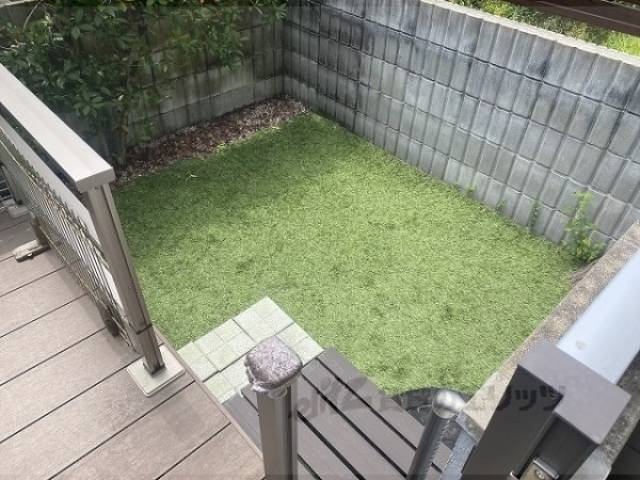 庭