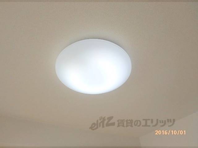照明