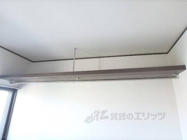 棚