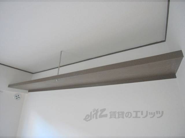 棚