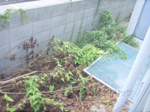ベランダ