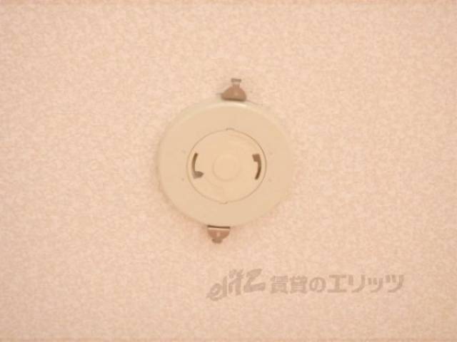 照明