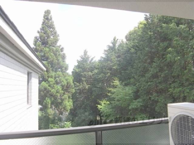 眺望　緑が多く癒されます。