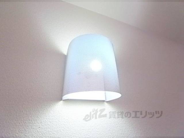 照明