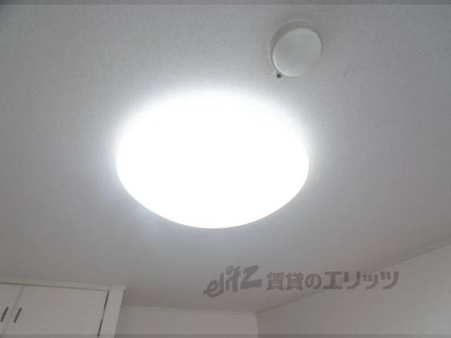 照明