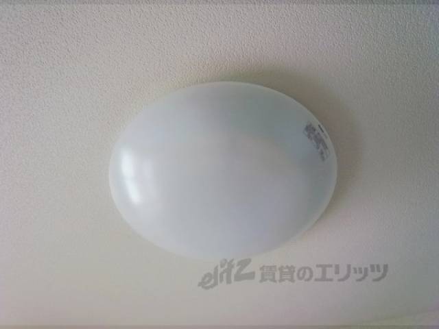 照明