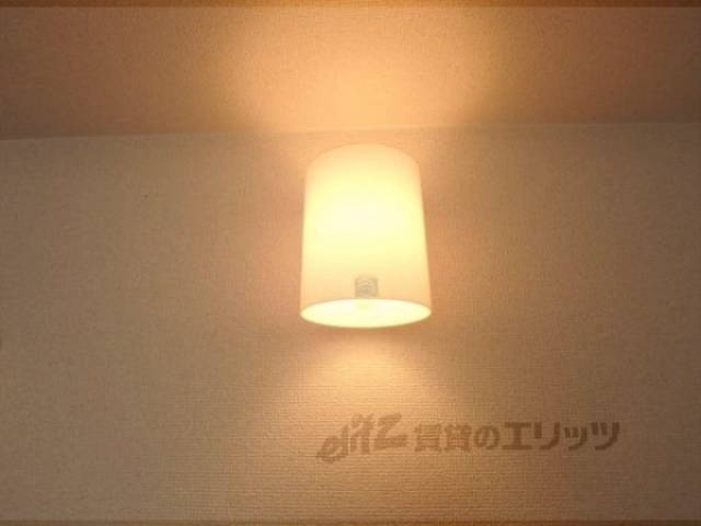 照明