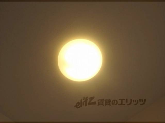 照明