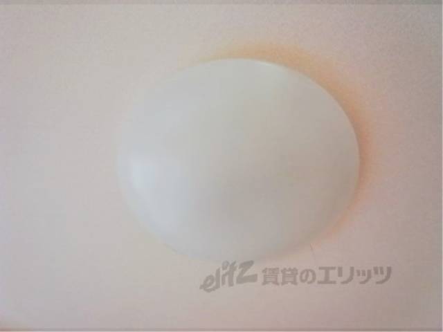 照明