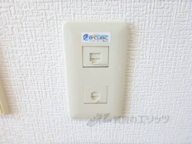 ネットコンセント