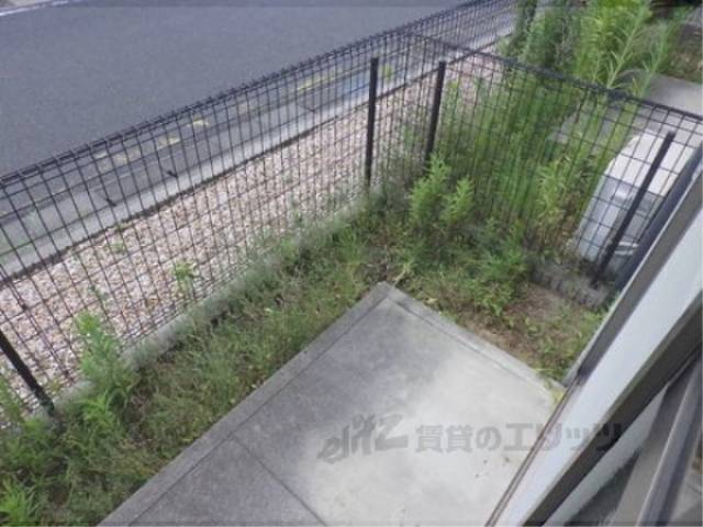 庭