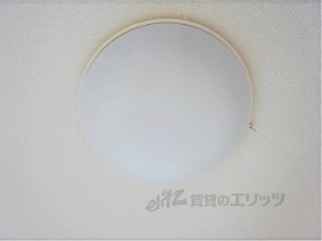 照明