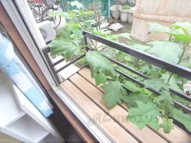 ベランダ　フラワーボックス