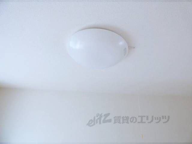 照明