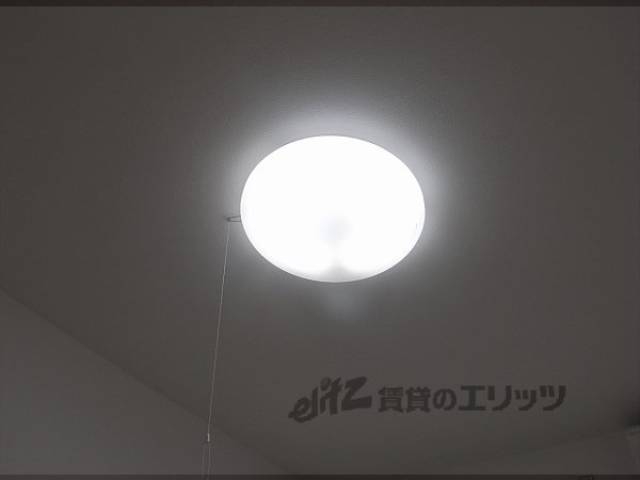 照明