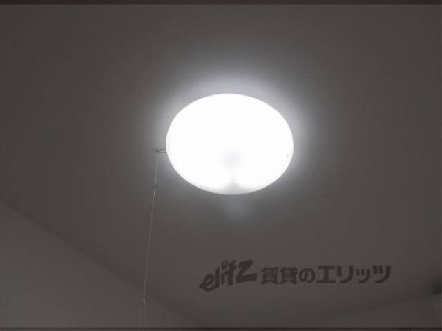 照明