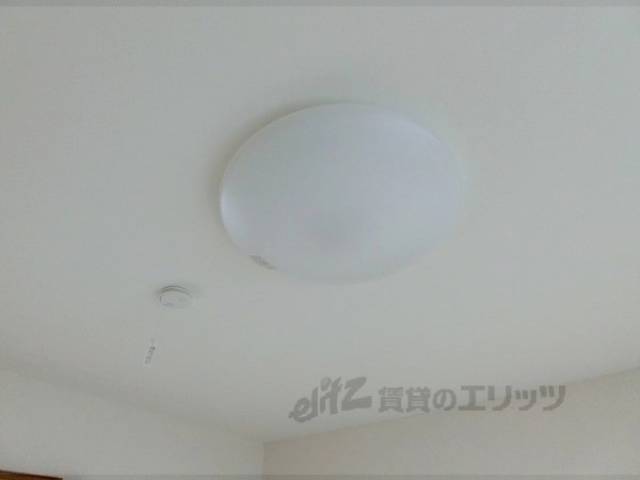 照明