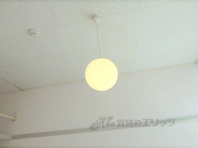 照明
