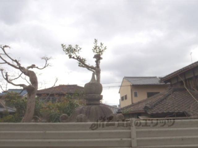 眺望　日当たり良好
