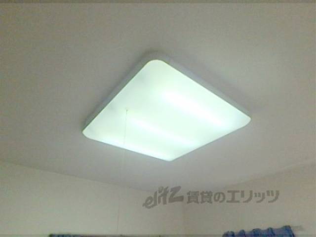 証明