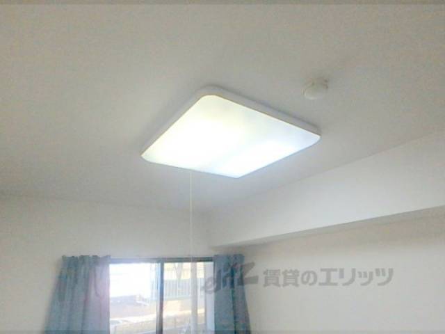 照明