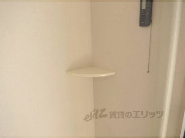 棚