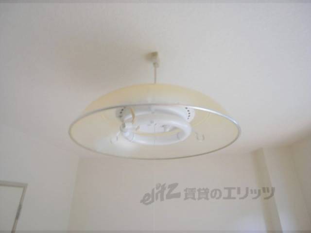 照明