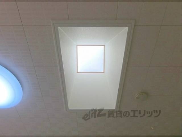 天窓