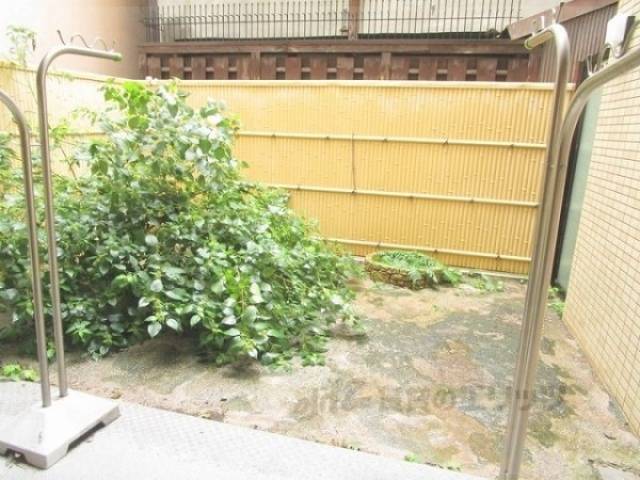 庭