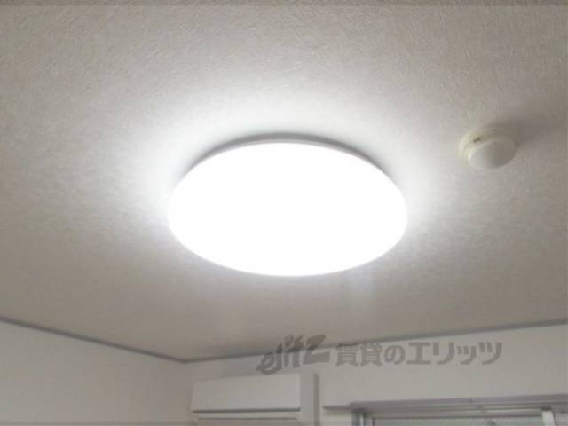 照明