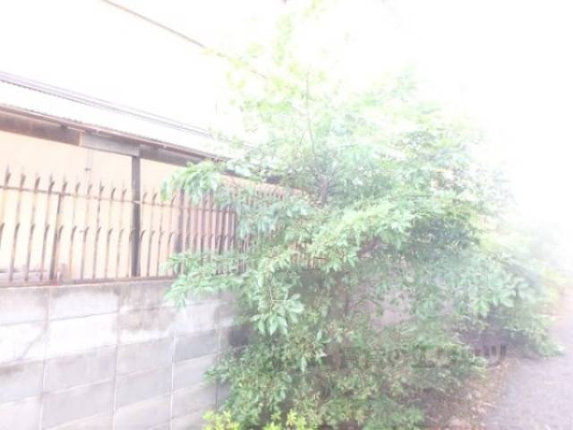 眺望　ハシゴ