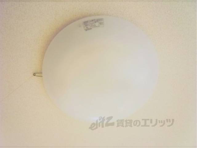 照明
