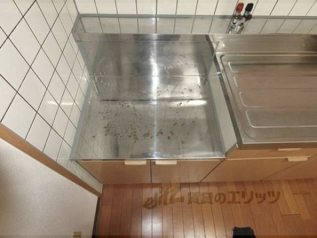 キッチン　テレビ線