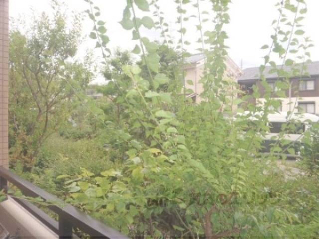 景観