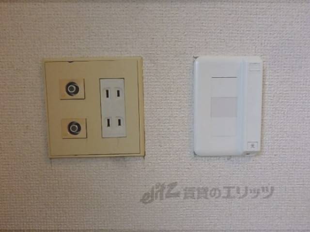 電気線